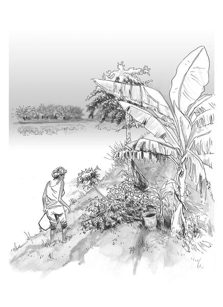 Images that accompany an investigation work.